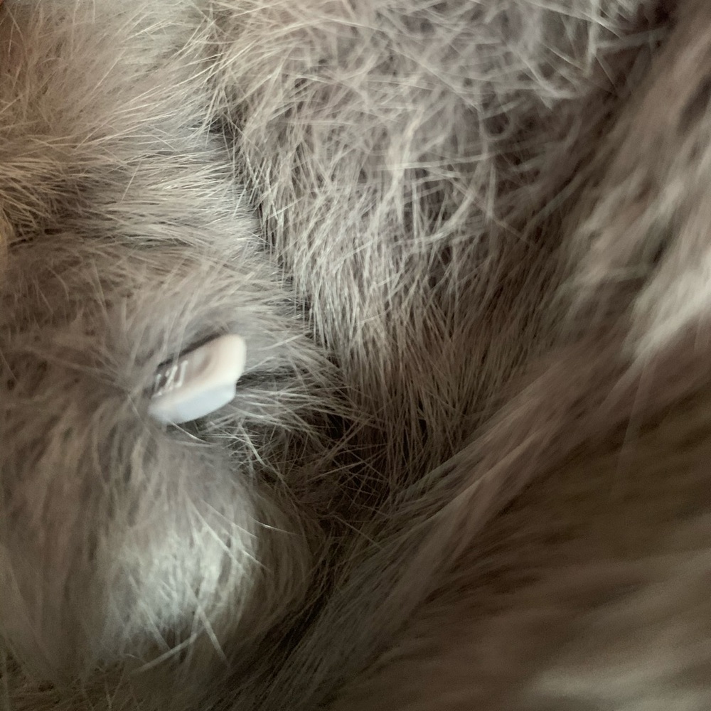 Rabbit Fur Jacket❄️ - Picture 6 of 8